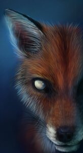 Rating: Safe Score: 0 Tags: 2010 ambiguous_gender black_nose blind blue_background bust_portrait canid canine close-up disability e621 eye_waterline feral fluffy fox foxbane fur inner_ear_fluff long_mouth looking_at_viewer mammal no_pupils no_sclera orange_body orange_fur photorealism portrait realistic red_fox simple_background snout solo true_fox tuft whiskers white_body white_eyes white_fur User: bunchy7s
