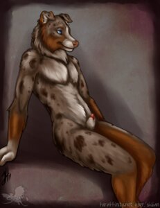 Rating: Explicit Score: 0 Tags: 1boy 2011 anthro australian_shepherd canine fur furry linsey_huish male male_only nude penis rule34 sheath sidian solo User: bunchy7s Rating: Explicit Score: 0 Tags: 1boy 2011 anthro australian_shepherd canine fur furry linsey_huish male male_only nude penis rule34 sheath sidian solo User: bunchy7s