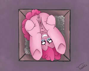 Rating: Explicit Score: 0 Tags: 2012 5:4 absurd_res anus blue_eyes box butt container e621 earth_pony equid equine female feral friendship_is_magic fur genitals hair hasbro hi_res horse if_it_fits_i_sits_(meme) in_box in_container looking_at_viewer looking_through looking_through_legs mammal meme my_little_pony nude pink_body pink_fur pink_hair pinkie_pie_(mlp) pony presenting simple_background smile solo tail tasteful-clopper upside_down vulva User: bunchy7s Rating: Explicit Score: 0 Tags: 2012 5:4 absurd_res anus blue_eyes box butt container e621 earth_pony equid equine female feral friendship_is_magic fur genitals hair hasbro hi_res horse if_it_fits_i_sits_(meme) in_box in_container looking_at_viewer looking_through looking_through_legs mammal meme my_little_pony nude pink_body pink_fur pink_hair pinkie_pie_(mlp) pony presenting simple_background smile solo tail tasteful-clopper upside_down vulva User: bunchy7s