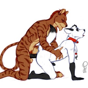 Rating: Explicit Score: 0 Tags: 1:1 all_fours anal anal_penetration anthro arctic_fox balls black_penis brown_body brown_fur canid canine collar doggystyle duo e621 ear_piercing erection eyewear felid fox from_behind_position fur genitals glasses hi_res interspecies jonas-pride kneeling male male/male male_penetrated male_penetrating male_penetrating_male mammal nude open_mouth pantherine penetration penis piercing sex simple_background tail tiger true_fox vein vivaldi_foxerz vivaldi_thearcticfox white_background white_body white_fur User: bunchy7s
