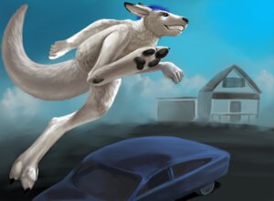 Rating: Safe Score: 0 Tags: 3_toes ambiguous_gender anthro black_nose blue_eyes blue_hair building car claws conditional_dnp convenient_censorship digital_media_(artwork) digitigrade e621 feet fur hair house kangaroo macropod mammal marsupial nude outside pawpads paws royz sky smile solo tail teeth thick_tail toe_claws toes vehicle white_body white_fur User: bunchy7s Rating: Safe Score: 0 Tags: 3_toes ambiguous_gender anthro black_nose blue_eyes blue_hair building car claws conditional_dnp convenient_censorship digital_media_(artwork) digitigrade e621 feet fur hair house kangaroo macropod mammal marsupial nude outside pawpads paws royz sky smile solo tail teeth thick_tail toe_claws toes vehicle white_body white_fur User: bunchy7s