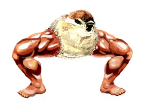 Rating: Safe Score: 0 Tags: 4:3 ambiguous_gender avian beak bird brown_body brown_eyes brown_feathers e621 feathers human hybrid looking_at_viewer mammal mojacookie muscular muscular_ambiguous simple_background solo what white_background User: bunchy7s