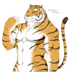 Rating: Safe Score: 0 Tags: abs anthro biceps big_muscles black_body black_ears black_face black_fur countershading e621 felid flexing fur giraffe_(artist) lam-chan looking_at_viewer male mammal markings multicolored_ears multicolored_face multicolored_hands muscular muscular_anthro muscular_male nude orange_body orange_ears orange_face orange_fur orange_hands pantherine pecs pose simple_background solo stripes tail tiger two_tone_hands white_background white_body white_ears white_face white_fur white_hands yellow_eyes User: bunchy7s