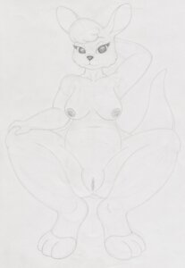 Rating: Explicit Score: 0 Tags: 3_toes anthro anus barefoot biped black_eyes black_nose breasts crouching e621 feet female genitals hand_behind_head hi_res infamousrel kangaroo looking_at_viewer macropod mammal marsupial matilda_(adventures_in_bushtown) monochrome nipples nude presenting skippy:_adventures_in_bushtown solo spread_legs spreading toes vulva User: bunchy7s Rating: Explicit Score: 0 Tags: 3_toes anthro anus barefoot biped black_eyes black_nose breasts crouching e621 feet female genitals hand_behind_head hi_res infamousrel kangaroo looking_at_viewer macropod mammal marsupial matilda_(adventures_in_bushtown) monochrome nipples nude presenting skippy:_adventures_in_bushtown solo spread_legs spreading toes vulva User: bunchy7s