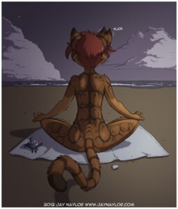 Rating: Safe Score: 0 Tags: 2012 ambient_arthropod ambient_crab ambient_crustacean ambient_sealife anthro beach border casual_nudity cloud conditional_dnp crossed_legs crosslegged_pose detailed_background digital_media_(artwork) domestic_cat e621 ear_twitch english_text felid feline felis female female_anthro fur jay_naylor mammal meditation nature nude nude_beach nudist on_towel outdoor_nudity outside public rear_view sand seaside sky solo tail text towel url white_border zoe_(jay_naylor) User: bunchy7s