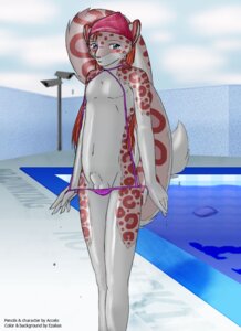 Rating: Explicit Score: 0 Tags: accelo accelo_(character) animal_genitalia anthro balls balls_in_underwear bikini bikini_bottom biped blush clothed clothing crossdressing e621 english_text ezalias felid femboy fluffy fluffy_tail fully_sheathed genitals hair headgear headkerchief headwear heterochromia kerchief leopard_spots looking_at_viewer male mammal one-piece_swimsuit pantherine pink_spots red_hair sheath sheath_poking_out skimpy sling_bikini snow_leopard solo spots standing swimming_pool swimwear tail text two-piece_swimsuit undressing water white_balls white_sheath User: bunchy7s Rating: Explicit Score: 0 Tags: accelo accelo_(character) animal_genitalia anthro balls balls_in_underwear bikini bikini_bottom biped blush clothed clothing crossdressing e621 english_text ezalias felid femboy fluffy fluffy_tail fully_sheathed genitals hair headgear headkerchief headwear heterochromia kerchief leopard_spots looking_at_viewer male mammal one-piece_swimsuit pantherine pink_spots red_hair sheath sheath_poking_out skimpy sling_bikini snow_leopard solo spots standing swimming_pool swimwear tail text two-piece_swimsuit undressing water white_balls white_sheath User: bunchy7s