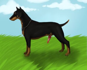 Rating: Explicit Score: 0 Tags: abyssa animal_genitalia animal_penis brown_eyes canid canine canine_genitalia canine_penis canis chain domestic_dog e621 erection feral genitals grass jewelry knot male mammal necklace nude penis plant realistic realistic_feral short_tail solo tail User: bunchy7s Rating: Explicit Score: 0 Tags: abyssa animal_genitalia animal_penis brown_eyes canid canine canine_genitalia canine_penis canis chain domestic_dog e621 erection feral genitals grass jewelry knot male mammal necklace nude penis plant realistic realistic_feral short_tail solo tail User: bunchy7s