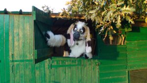 Rating: Safe Score: 0 Tags: 16:9 anthro bovid caprine clothing collar costume e621 female fursuit goat grandfathered_content green_eyes horn latinvixen mammal nature outside real solo wallpaper widescreen User: bunchy7s Rating: Safe Score: 0 Tags: 16:9 anthro bovid caprine clothing collar costume e621 female fursuit goat grandfathered_content green_eyes horn latinvixen mammal nature outside real solo wallpaper widescreen User: bunchy7s