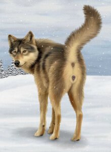 Rating: Explicit Score: 0 Tags: anatomically_correct anatomically_correct_anus anatomically_correct_genitalia anatomically_correct_vulva animal_genitalia animal_vulva anus butt canid canine canine_genitalia canine_vulva canis cloud e621 ebon_lupus female feral genitals hi_res in_heat looking_at_viewer mammal northwestern_wolf outside photorealism presenting presenting_hindquarters raised_tail realistic sky snow solo tail tail_anus vulva wolf User: bunchy7s Rating: Explicit Score: 0 Tags: anatomically_correct anatomically_correct_anus anatomically_correct_genitalia anatomically_correct_vulva animal_genitalia animal_vulva anus butt canid canine canine_genitalia canine_vulva canis cloud e621 ebon_lupus female feral genitals hi_res in_heat looking_at_viewer mammal northwestern_wolf outside photorealism presenting presenting_hindquarters raised_tail realistic sky snow solo tail tail_anus vulva wolf User: bunchy7s