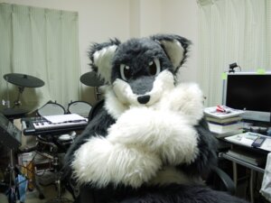 Rating: Safe Score: 0 Tags: 4:3 ambiguous_gender anthro canid canine clothing costume drum drum_set e621 fox fursuit grandfathered_content keyboard mammal musical_instrument netiel percussion_instrument photography_(artwork) real solo User: bunchy7s