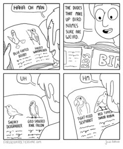 Rating: Safe Score: 0 Tags: 2013 avian bird blue-footed_booby booby_(bird) book comic dialogue e621 english_text falcon falconid feral for_lack_of_a_better_comic hairy_woodpecker human humor jacob_andrews male mammal monochrome oscine parrot passerine picid piciform robin_(bird) sulid suliform text woodpecker User: bunchy7s