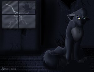 Rating: Safe Score: 0 Tags: 2003 canid canine canis dark detailed_background e621 electricity female feral inside lightning mammal shayde_(artist) solo storm tail toony wolf User: bunchy7s Rating: Safe Score: 0 Tags: 2003 canid canine canis dark detailed_background e621 electricity female feral inside lightning mammal shayde_(artist) solo storm tail toony wolf User: bunchy7s