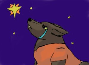 Rating: Safe Score: 0 Tags: 11:8 ambiguous_gender bodily_fluids bottomless canid canine canis clothed clothing crying digital_media_(artwork) e621 fenchfletcher feral grandfathered_content half-length_portrait mammal night orange_clothing orange_topwear outside portrait shirt side_view sky solo star starry_sky tears topwear wolf User: bunchy7s