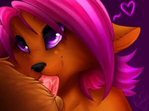 Rating: Explicit Score: 0 Tags: 4:3 anthro big_eyes bodily_fluids canid canine canis close-up dingo duo e621 eipril erection fellatio female female_penetrated genitals hair male male/female male_penetrating male_penetrating_female mammal oral oral_penetration penetration penile penis pink_eyes pink_hair purple_eyes purple_hair saliva sex shelty small_penis smile tongue User: bunchy7s