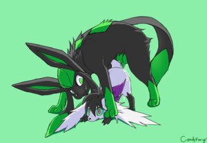 Rating: Explicit Score: 0 Tags: ambiguous_gender anal anal_penetration animal_genitalia animal_penis black_body black_fur black_hair bodily_fluids candyfoxy canine_genitalia canine_penis cum cum_inside cum_on_fur digital_media_(artwork) duo e621 eeveelution erection feral feral_on_feral fur generation_4_pokemon genital_fluids genitals glaceon green_body green_eyes green_fur hair hypnosis knot legendary_pokemon male mind_control multicolored_body multicolored_eyes multicolored_fur nintendo nude penetration penis pokemon pokemon_(species) pupils sex shaded shaymin sky_forme_shaymin slit_pupils spiral spiral_eyes standing two_tone_body two_tone_fur white_body white_fur User: bunchy7s