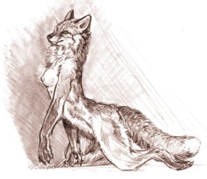 Rating: Questionable Score: 0 Tags: all_fours amber_hill anthro areola breasts canid canine chest_tuft e621 female fox fur mammal monochrome nipples nude sketch solo tail tuft User: bunchy7s Rating: Questionable Score: 0 Tags: all_fours amber_hill anthro areola breasts canid canine chest_tuft e621 female fox fur mammal monochrome nipples nude sketch solo tail tuft User: bunchy7s