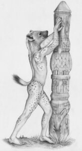 Rating: Questionable Score: 0 Tags: 2010 5_toes accessory anthro aruhs biped bottomwear bulge butt claws clothed clothing e621 feet furgonomics hi_res hyena jewelry loincloth male mammal monochrome plantigrade pose ring side_view simple_background solo spots spotted_hyena standing tail tail_accessory tail_jewelry tail_ring toe_claws toes topless totem white_background User: bunchy7s