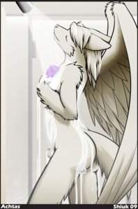 Rating: Explicit Score: 0 Tags: 2009 animal_genitalia anthro bathing biped black_border border butt canid canine casual_nudity e621 eyes_closed feathered_wings feathers fully_sheathed fur genitals hair hi_res holding_object inside male mammal nude sheath shiuk shower shower_head side_view solo standing tail water wet wet_body wet_fur white_body white_fur white_hair wings User: bunchy7s