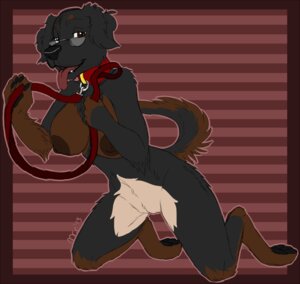 Rating: Explicit Score: 0 Tags: anthro aysu_(mr_chocolate) big_breasts black_body black_fur breasts brown_body brown_eyes brown_fur brown_nipples canid canine canis collar domestic_dog e621 eyewear fangs feet female fur glasses leash looking_at_viewer mammal mrchocolate nipples offering_leash open_mouth solo tail teeth tongue User: bunchy7s