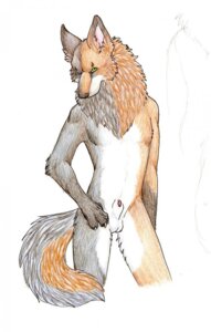 Rating: Explicit Score: 0 Tags: 2009 animal_genitalia anthro balls canid canine canis e621 fox genitals hi_res hybrid male mammal nude penis penis_tip purra sheath simple_background solo tail white_background wolf User: bunchy7s Rating: Explicit Score: 0 Tags: 2009 animal_genitalia anthro balls canid canine canis e621 fox genitals hi_res hybrid male mammal nude penis penis_tip purra sheath simple_background solo tail white_background wolf User: bunchy7s