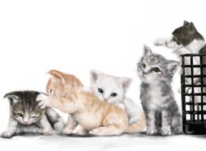 Rating: Safe Score: 0 Tags: 777purin ambiguous_gender basket black_eyes blue_eyes brown_body brown_eyes brown_fur container detailed digitigrade domestic_cat e621 felid feline felis feral fur grey_body grey_fur grey_nose group looking_at_viewer male mammal one_eye_closed orange_body orange_fur pink_nose quadruped simple_background sitting tabby_cat tail whiskers white_background white_body white_fur wink young young_feral User: bunchy7s