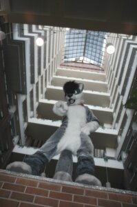 Rating: Safe Score: 0 Tags: amran amran_(character) anthro balcony biped black_hair brick brick_wall canid canine clothing costume domestic_cat e621 felid feline felis fox fursuit gesture grandfathered_content hair hand_gesture hybrid inside looking_at_viewer low-angle_view male mammal pointing pointing_at_viewer pose real scar short_hair solo tongue wall_(structure) User: bunchy7s