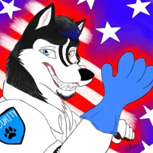 Rating: Safe Score: 0 Tags: 1:1 2012 american_flag anthro black_body black_fur bust_portrait canid canine canis chewfox clothed clothing domestic_dog e621 fangs fur glove_snap gloves grin hair handwear heterochromia husky icon kalus latex latex_clothing latex_gloves latex_handwear low_res male mammal multicolored_body multicolored_fur nordic_sled_dog portrait raised_hand security security_guard signature smile solo spitz teeth two_tone_body two_tone_fur uniform united_states_of_america white_body white_fur User: bunchy7s