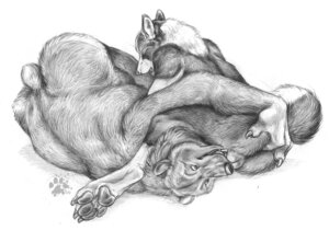 Rating: Explicit Score: 0 Tags: 2009 anal anal_fingering animal_genitalia animal_penis anthro anthro_on_anthro balls bear blotch canid canine canine_genitalia canine_penis canis domestic_dog duo e621 erection fellatio fingering fingering_partner genitals greyscale husky interspecies knot male male/male male_penetrated male_penetrating male_penetrating_male mammal monochrome nordic_sled_dog oral overweight penetration penile penis reverse_rusty_trombone scratches_volume_3 sex spitz tail tongue traditional_media_(artwork) User: bunchy7s Rating: Explicit Score: 0 Tags: 2009 anal anal_fingering animal_genitalia animal_penis anthro anthro_on_anthro balls bear blotch canid canine canine_genitalia canine_penis canis domestic_dog duo e621 erection fellatio fingering fingering_partner genitals greyscale husky interspecies knot male male/male male_penetrated male_penetrating male_penetrating_male mammal monochrome nordic_sled_dog oral overweight penetration penile penis reverse_rusty_trombone scratches_volume_3 sex spitz tail tongue traditional_media_(artwork) User: bunchy7s