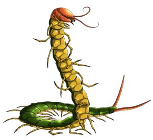 Rating: Safe Score: 0 Tags: ambiguous_feral ambiguous_gender antennae_(anatomy) arthropod centipede countershading daisuke e621 exoskeleton eyeless feral green_body green_exoskeleton hi_res multi_limb myriapod simple_background solo white_background yellow_body yellow_countershading yellow_exoskeleton User: bunchy7s Rating: Safe Score: 0 Tags: ambiguous_feral ambiguous_gender antennae_(anatomy) arthropod centipede countershading daisuke e621 exoskeleton eyeless feral green_body green_exoskeleton hi_res multi_limb myriapod simple_background solo white_background yellow_body yellow_countershading yellow_exoskeleton User: bunchy7s