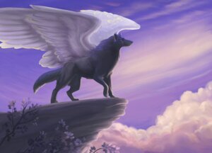 Rating: Safe Score: 0 Tags: 2007 absurd_res ambiguous_gender black_body black_fur canid canine canis cloud e621 evening feathered_wings feathers feral fur hi_res hibbary kiliana mammal rock solo tail wings wolf User: bunchy7s
