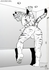 Rating: Explicit Score: 0 Tags: 1boy anthro anus ass feline fur furry jaleo looking_at_viewer male male_only muscles nude pose raised_tail rule34 solo tail User: bunchy7s Rating: Explicit Score: 0 Tags: 1boy anthro anus ass feline fur furry jaleo looking_at_viewer male male_only muscles nude pose raised_tail rule34 solo tail User: bunchy7s