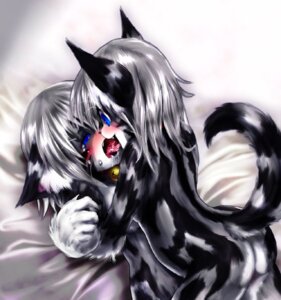 Rating: Explicit Score: 0 Tags: anthro bed bell blue_eyes blush bodily_fluids collar domestic_cat drooling duo e621 eye_contact facial_markings fangs felid feline felis female female/female french_kissing fur furniture grey_body grey_fur grey_hair hair head_markings hug karin_(tetetor-oort) kissing looking_at_another mammal markings raised_tail saliva short_hair sweat tail teeth tetetor-oort tongue User: bunchy7s
