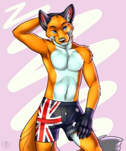 Rating: Safe Score: 0 Tags: 2013 anthro armpit_hair australian_flag biped blue_eyes body_hair boxers_(clothing) canid canine claws clothed clothing digital_media_(artwork) e621 flag flag_clothing flag_print flag_underwear fluffy fluffy_tail fox front_view fur gloves_(marking) hand_behind_head hi_res looking_at_viewer male mammal markings muscular muscular_anthro muscular_male orange_body orange_fur orithan pecs portrait print_clothing print_underwear simple_background solo standing tail three-quarter_portrait topless underwear undressing vallhound white_body white_fur User: bunchy7s