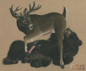 Rating: Explicit Score: 0 Tags: 2boys anatomically_correct antlers balls bear black_eyes black_fur brown_background brown_fur cervine claws cum deer erect_penis erection feral fur furry furry_only gay hooves horns interspecies looking_back male male_only paws penis rule34 sketch spread_legs tail testicles text User: bunchy7s