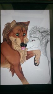 Rating: Safe Score: 0 Tags: 9:16 affectionate alpha_and_omega canid canine canis canon_couple digital_media_(artwork) duo e621 female feral garth_(alpha_and_omega) grandfathered_content hi_res lilly_(alpha_and_omega) love male mammal married_couple romantic romantic_couple wolf wolfgirl885 User: bunchy7s
