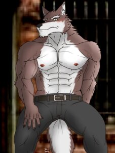 Rating: Safe Score: 0 Tags: 2013 abs anthro athletic belt biceps big_muscles biped black_nose blurred_background blush bottomwear brown_body brown_fur canid canine canis claws clothed clothing e621 front_view fur hentist hideo_katashi looking_at_viewer male mammal muscular muscular_anthro muscular_male nipples pants pecs pose solo standing topless vein white_body white_fur wolf yellow_eyes User: bunchy7s