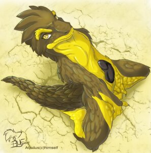 Rating: Explicit Score: 0 Tags: amber_eyes animal_genitalia anthro aquilus biped black_penis brown_body brown_scales claws e621 erection genital_slit genitals kneeling lizard looking_at_viewer male nude penis peritian reptile scales scalie solo tail yellow_body yellow_scales User: bunchy7s