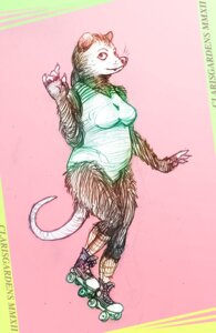 Rating: Safe Score: 0 Tags: 2012 american_opossum anthro breasts claws clothed clothing digital_drawing_(artwork) digital_media_(artwork) e621 female finger_claws footwear fully_clothed graphite_(artwork) hair legwear leotard mammal marsupial mixed_media oddwilds pose quad_skates roller_skates simple_background slightly_chubby smile socks solo standing tail traditional_media_(artwork) virginia_opossum whiskers User: bunchy7s