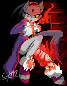 Rating: Safe Score: 0 Tags: absurd_res adolescent anthro blaze_the_cat copymirror domestic_cat e621 felid feline felis female fire hi_res levinder mammal sega solo sonic_the_hedgehog_(series) yellow_eyes young User: bunchy7s