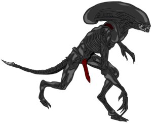 Rating: Explicit Score: 0 Tags: alien_(franchise) male male_only male_xenomorph no_humans rule34 tagme xenomorph xenomorph_tail User: bunchy7s Rating: Explicit Score: 0 Tags: alien_(franchise) male male_only male_xenomorph no_humans rule34 tagme xenomorph xenomorph_tail User: bunchy7s