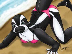 Rating: Questionable Score: 0 Tags: 4:3 anthro aquatic arayna beach bikini black_body blowhole cetacean clothed clothing curvy_figure dolphin e621 female hourglass_figure mammal oceanic_dolphin outside pink_clothing pinup pose sand sea seaside skimpy solo swimwear tail tight_clothing toothed_whale two-piece_swimsuit water white_body User: bunchy7s