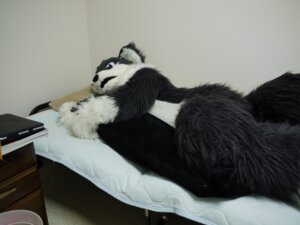 Rating: Safe Score: 0 Tags: ambiguous_gender anthro bed canid canine clothing cosplay costume e621 fox furniture fursuit grandfathered_content inside mammal netiel on_bed photography_(artwork) real solo User: bunchy7s
