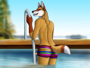 Rating: Safe Score: 0 Tags: 2013 anthro black_nose bottomwear brown_body brown_fur butt canid canine canis clothed clothing coyote e621 fangs fluffy fluffy_tail fur gloves_(marking) glowingraver hailstorm ladder looking_at_viewer looking_back male mammal markings open_mouth pattern_bottomwear pattern_clothing poolside rainbow rear_view solo striped_bottomwear striped_clothing stripes swimming_pool swimming_trunks swimwear tail teeth tongue topless underwear water wet yellow_eyes User: bunchy7s