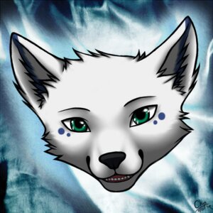 Rating: Safe Score: 0 Tags: 1:1 2013 animated animated_gif blinking blue_markings canid canine canis chiroina e621 female fur green_eyes icon mammal markings open_mouth short_playtime solo white_body white_fur wolf User: bunchy7s