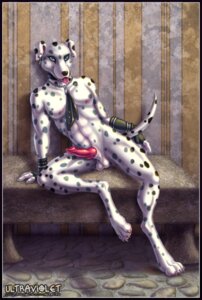 Rating: Explicit Score: 0 Tags: accessory anthro balls biped black_body black_fur black_spots blue_eyes canid canine canis clothing collar dalmatian digitigrade domestic_dog e621 ear_piercing erection fur genitals gloves handwear hollbain knot looking_at_viewer male mammal markings necktie nipple_piercing nipples nude penis piercing pose sitting solo spots spotted_body spotted_fur spread_legs spreading tail tongue tongue_piercing tricolor ultraviolet white_body white_fur User: bunchy7s