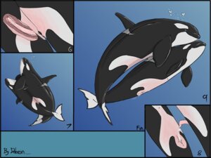Rating: Explicit Score: 0 Tags: 2009 4:3 anatomically_correct anatomically_correct_genitalia anatomically_correct_penis anatomically_correct_vulva animal_genitalia animal_penis animal_vulva aquatic bodily_fluids bubble cetacean cetacean_genitalia cetacean_penis cetacean_vulva comic cum cum_in_vagina cum_inside dolorcin dolphin duo e621 erection female female_penetrated feral fully/fully_submerged fully_submerged genital_fluids genital_slit genitals heart_symbol internal male male/female male_penetrating male_penetrating_female mammal mammary_slits oceanic_dolphin orca penetration penile penile_penetration penis penis_in_vagina sex sex_in_water tapering_penis toothed_whale underwater underwater_sex vaginal vaginal_penetration vulva water User: bunchy7s