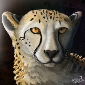 Rating: Safe Score: 0 Tags: 1:1 2013 ambiguous_gender bust_portrait cheetah cryme_the_cheetah e621 felid feline feral fur icon mammal orange_eyes portrait simple_background solo spots whiskers white_body white_fur yellow_body yellow_fur User: bunchy7s