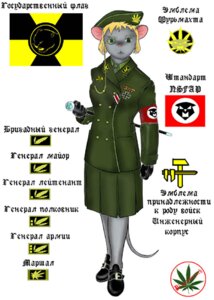 Rating: Safe Score: 0 Tags: 5_fingers anthro army blonde_eyebrows blonde_hair clothed clothing e621 eyebrows eyewear female fingers footwear fur furrevolt gloves green_eyes grey_body grey_fur hair handwear jacket low_res mammal military monocle nazi pink_nose plaguewraith rodent russian_text shoes simple_background solo standing tail text topwear translated white_background User: bunchy7s