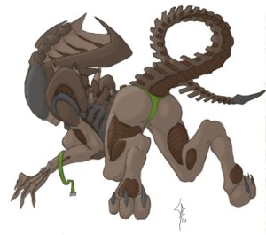Rating: Safe Score: 0 Tags: 2010 3_toes alien alien_(franchise) anthro claws clothing e621 feet female looking_back panties preatorian raised_tail solo tail toes underwear unknown_artist xenomorph User: bunchy7s