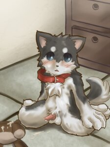 Rating: Explicit Score: 0 Tags: 3:4 anthro balls big_eyes biped blue_eyes blush bodily_fluids canid canine canis chest_tuft collar countershading cum cum_on_ground cum_on_toy domestic_dog e621 erection fur genital_fluids genitals hi_res hikuchi husky inside kemono looking_at_viewer male mammal nordic_sled_dog penis plushie shota sitting solo spitz tail tapering_penis teddy_bear tuft young young_anthro young_male User: bunchy7s Rating: Explicit Score: 0 Tags: 3:4 anthro balls big_eyes biped blue_eyes blush bodily_fluids canid canine canis chest_tuft collar countershading cum cum_on_ground cum_on_toy domestic_dog e621 erection fur genital_fluids genitals hi_res hikuchi husky inside kemono looking_at_viewer male mammal nordic_sled_dog penis plushie shota sitting solo spitz tail tapering_penis teddy_bear tuft young young_anthro young_male User: bunchy7s